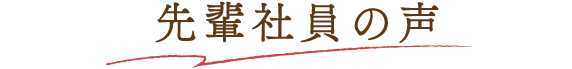 先輩社員の声