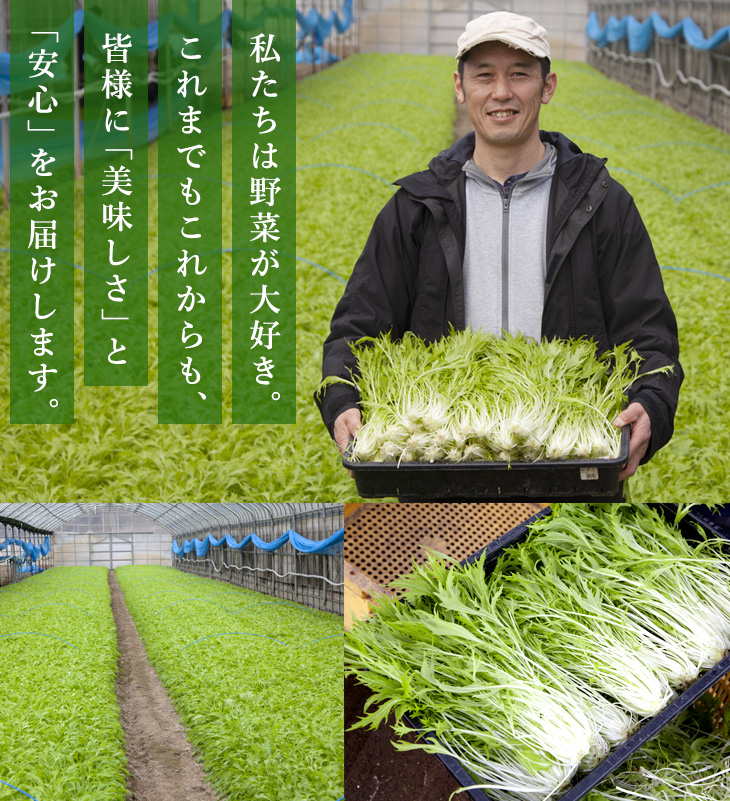 私たちは野菜が大好き。これまでもこれからも、皆様に「美味しさ」と「安心」をお届けします。